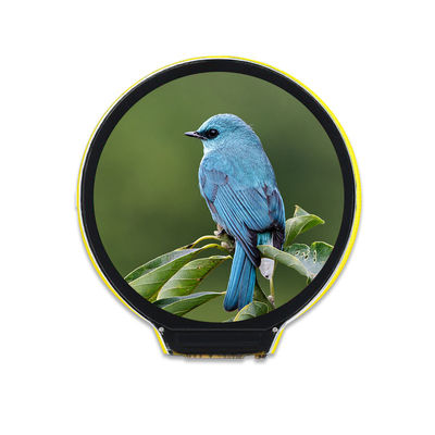 Good price 1.28 Inch 240x240 Resolution TFT LCD Screen Module LVGL Without Touch online
